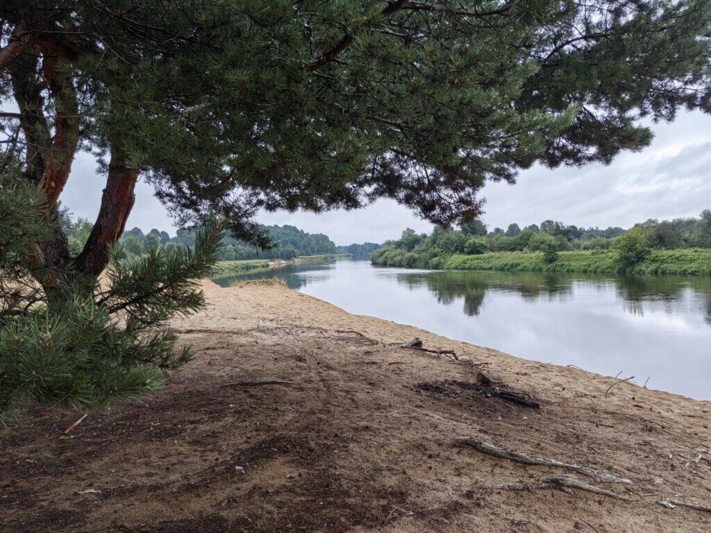 photo_6