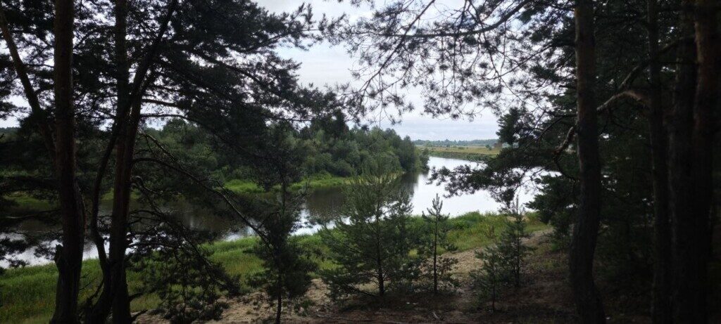 photo_9